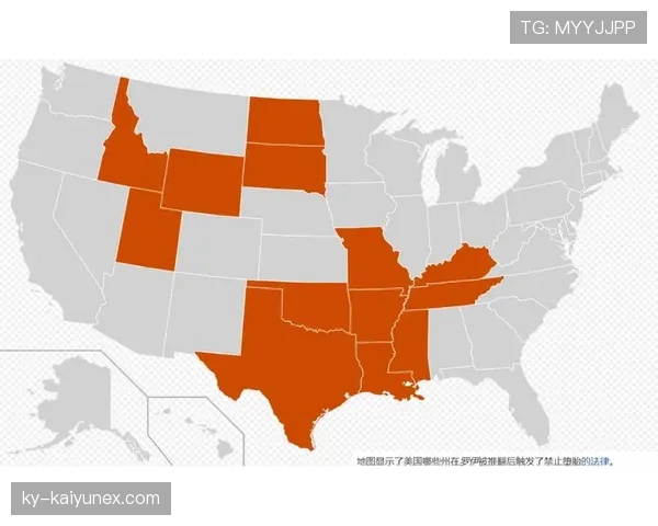 VAR规则：四种可复核判罚由主裁最终裁定
